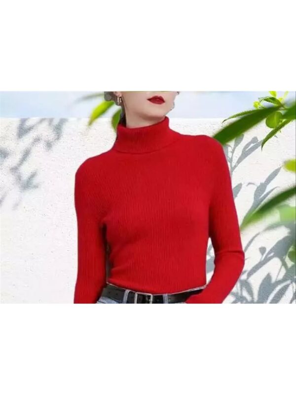 Solid Turtle Neck Ribbed Woolen Top for Women