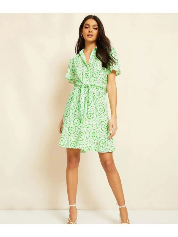 Selvia Abstract Printed Green Mini Shirt Dress for Women