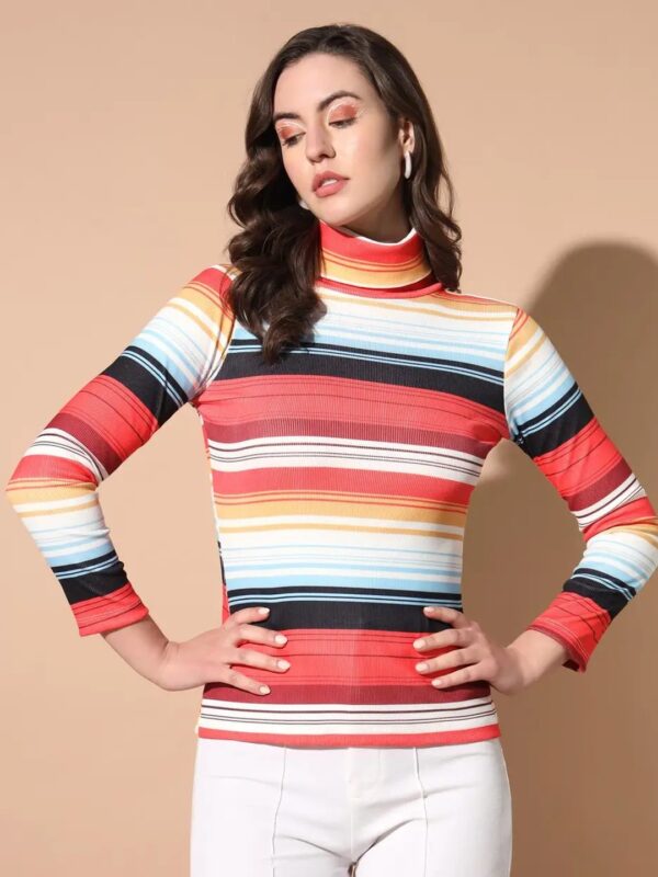 Multicolour Striped Turtle Neck Top for Women